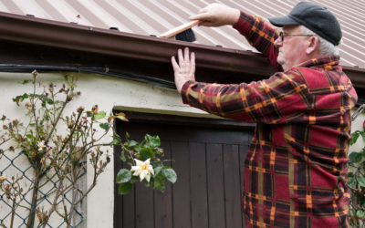 Clear Gutters, Happy Roofs: Why Gutter Maintenance Matters