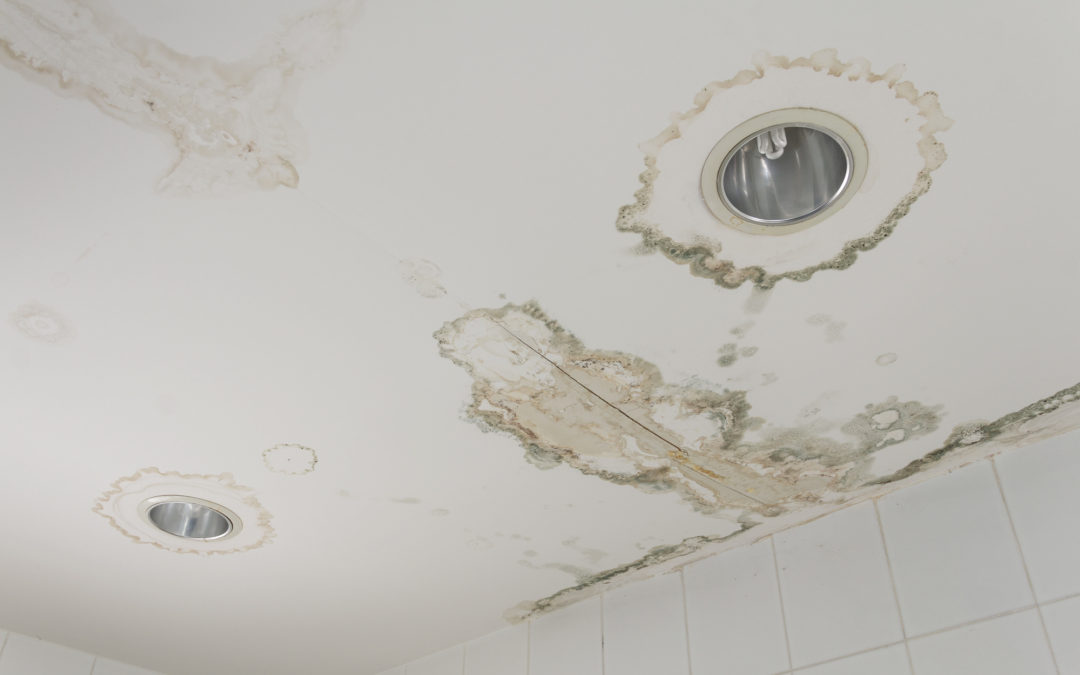 Why You Should Never Ignore Water Stains on Your Ceiling