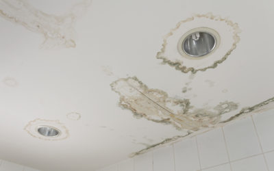 Water in High Places: Why You Should Never Ignore Water Stains on Your Ceiling